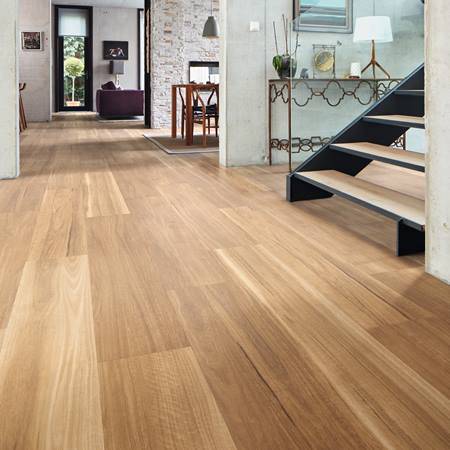 Andersens Tamworth - Renee 3