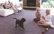 Tucknott’s Carpets & Blinds - thumb 1