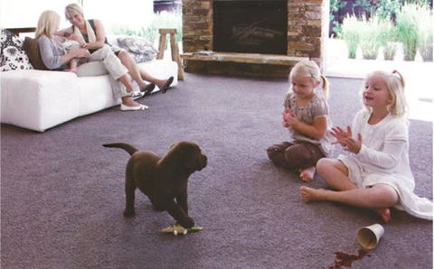 Tucknott’s Carpets & Blinds - Renee 1