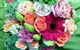 Yeppoon Floristry - thumb 2