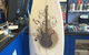 South Coast Custom Printed Products - thumb 3
