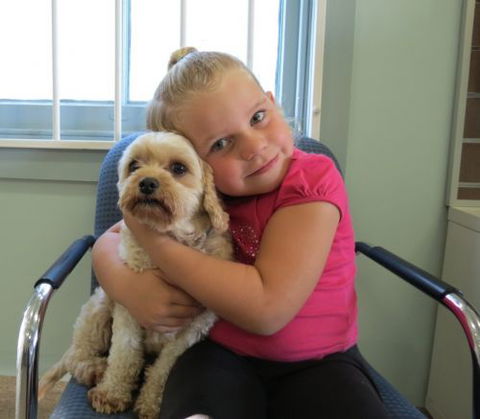 Dapto Veterinary Clinic - Internet Find 4