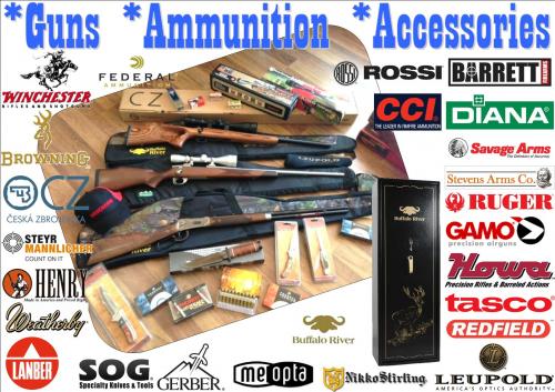 Guns Ammunition Renee