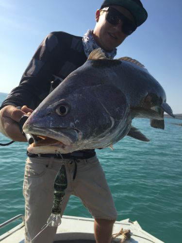 The Tackle Box NT - Swimm 0