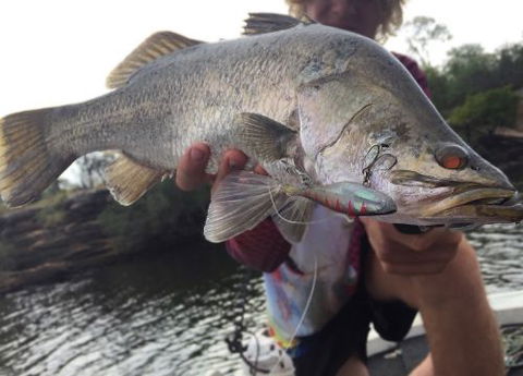 The Tackle Box NT - Swimm 2