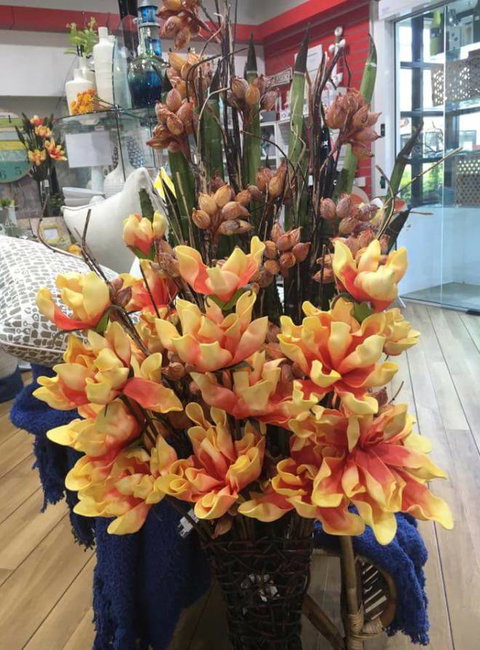 Harrington Waters Village Pharmacy - Renee 0