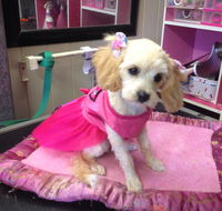 Lyns Total Pet Care - Renee