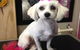 Lyns Total Pet Care - thumb 2
