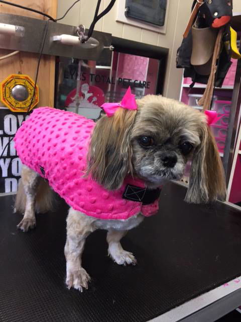 Lyns Total Pet Care - Renee 3