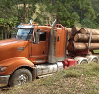 Log Check Forestry - Internet Find