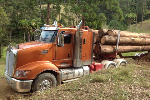 Log Check Forestry - Internet Find 0