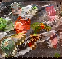 Toshi's Japanese Restaurant - Renee