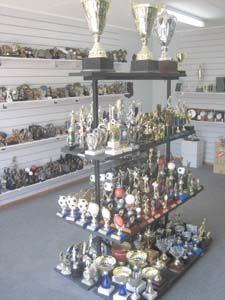 Trophies Rutherford NSW Swimm