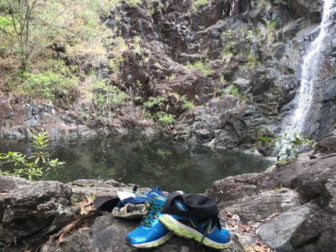 Hinchinbrook Hiking- Scenic Tours - Internet Find 4