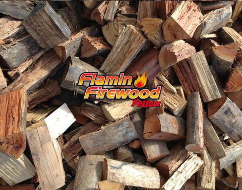 Flamin Firewood Fellas - Renee 0