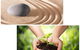 Anna Bay Sand & Earthmoving–Specialised Landscape Supplies - thumb 3