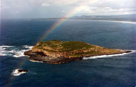 Kirra Dive “On The Tweed” - Internet Find 2