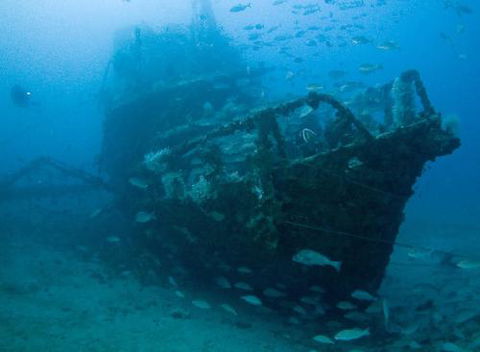 Kirra Dive “On The Tweed” - Internet Find 4
