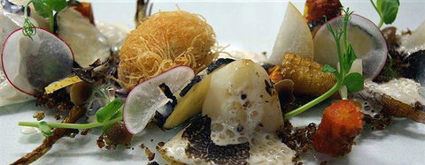 Opus Restaurant - Swimm 6