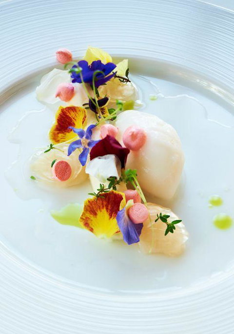 Opus Restaurant - Swimm 8