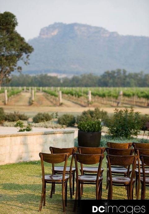 Delicado Foods & Wines - Swimm 11