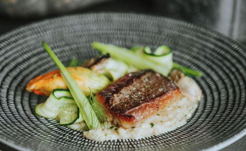 Delicado Foods & Wines - Swimm 12