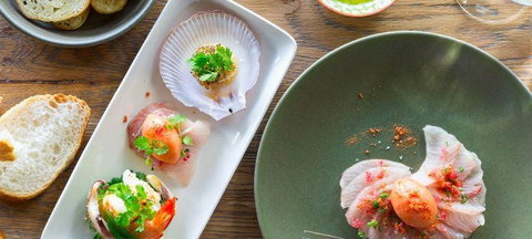 Lord Cardigan - Renee 9