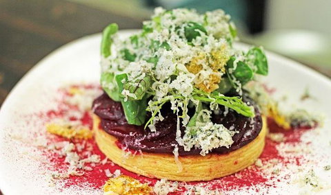 Lord Cardigan - Renee 12