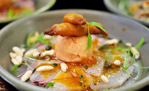 Lord Cardigan - Renee 13