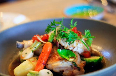 Lord Cardigan - Renee 17