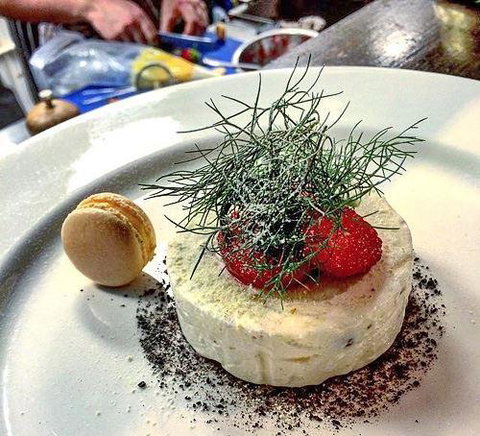 Lord Cardigan - Renee 18