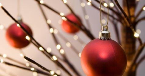 Lord Cardigan - Renee 21