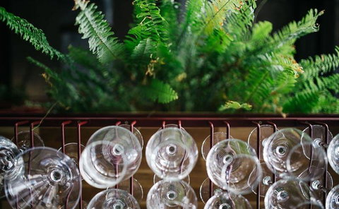 Lord Cardigan - Renee 4