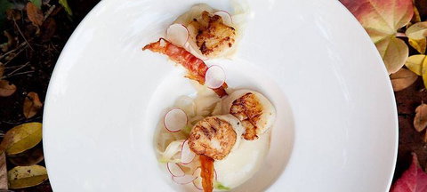 Pod Food - Internet Find 0