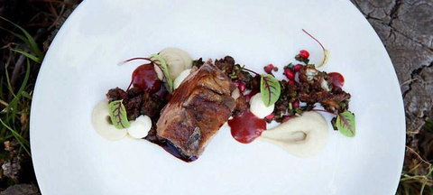 Pod Food - Internet Find 14