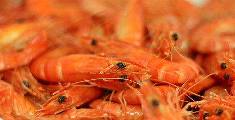 Wheelers Seafood Restaurant - Renee 27