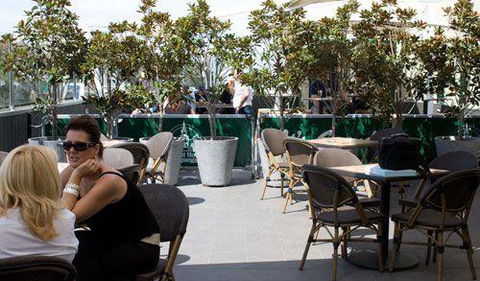 Ambrosia Cafe - Renee 4
