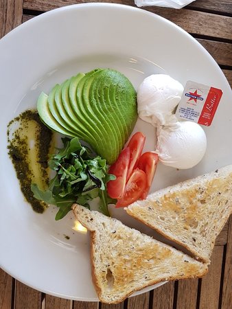 Cuttlefish Cafe - Swimm 0