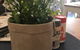 Forget Me Not Cafe - thumb 1
