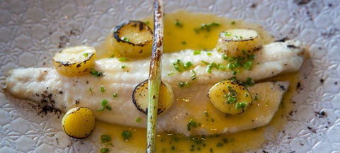 Knee Deep In Margaret River Restaurant - Qld Realsetate 0