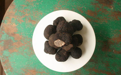 Pascoe Vale RSL - Renee 10