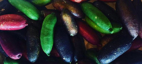 Pascoe Vale RSL - Renee 3