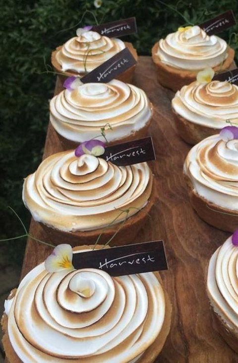 Pascoe Vale RSL - Renee 4