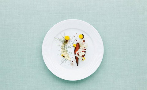 Denmark House - Swimm 5