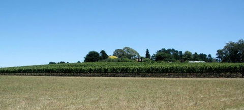 Toy's Garden Restaurant - Swimm 1