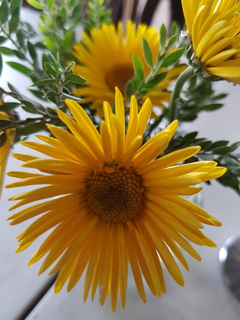 Secret Garden Cafe & Patisserie - Internet Find 1