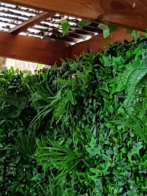 Secret Garden Cafe & Patisserie - Internet Find 5