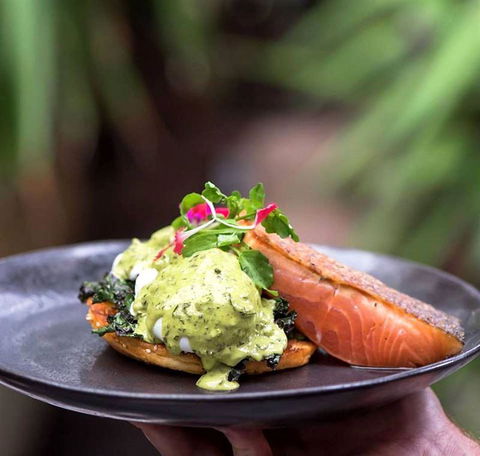 Armchair Collective - Qld Realsetate 9