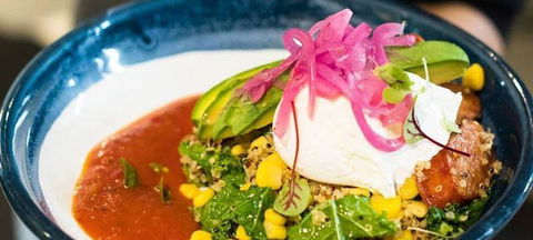 Armchair Collective - Qld Realsetate 10