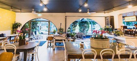 Armchair Collective - Qld Realsetate 2